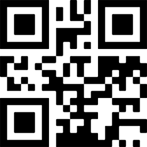 Image generated from a QR block